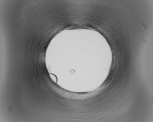 X0000112870048200910021342