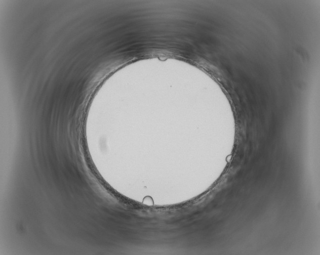 X0000112870049200910021341