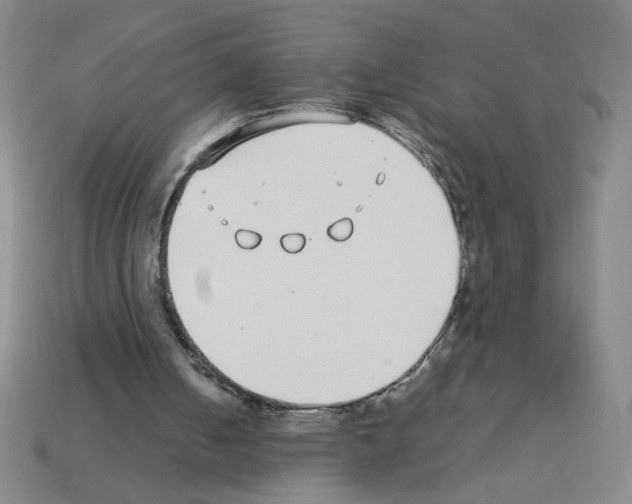 X0000112870050200910021341