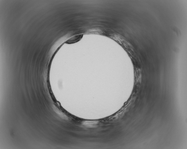 X0000112870051200910021341