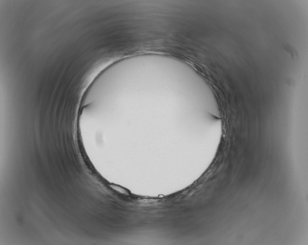 X0000112870052200910021341