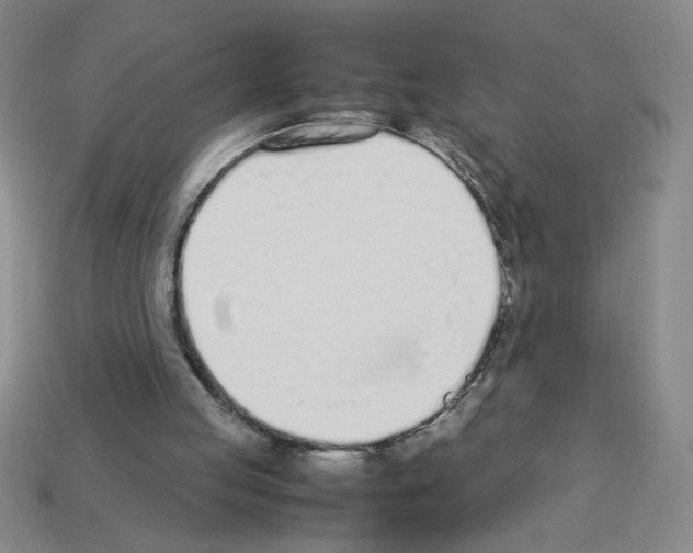 X0000112870053200910021341