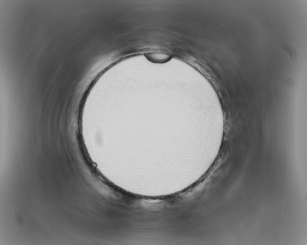 X0000112870055200910021341