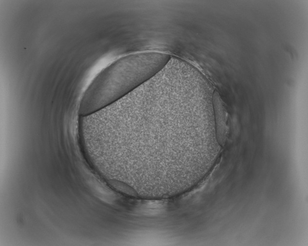 X0000112870056200910021341