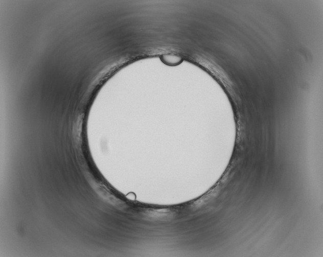 X0000112870058200910021341