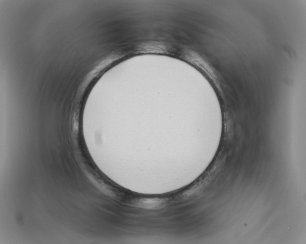 X0000112870059200910021341