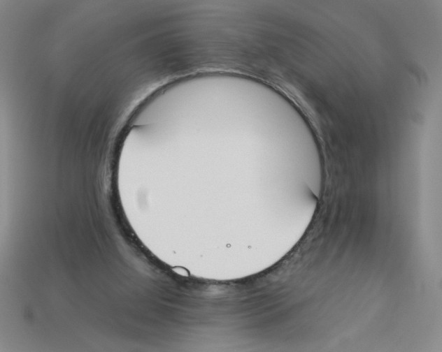 X0000112870060200910021341