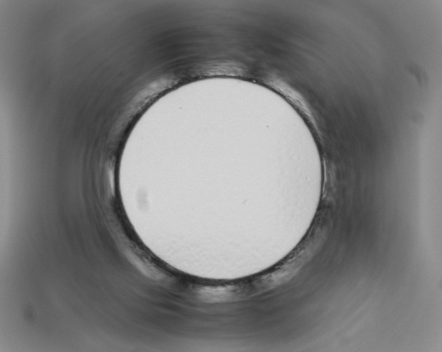 X0000112870061200910021341