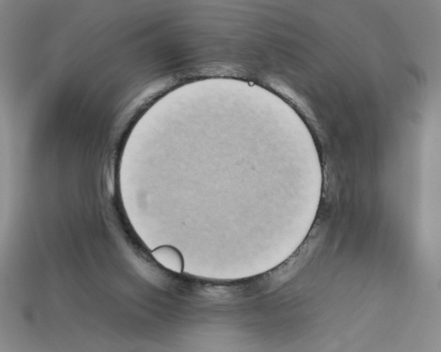 X0000112870062200910021341