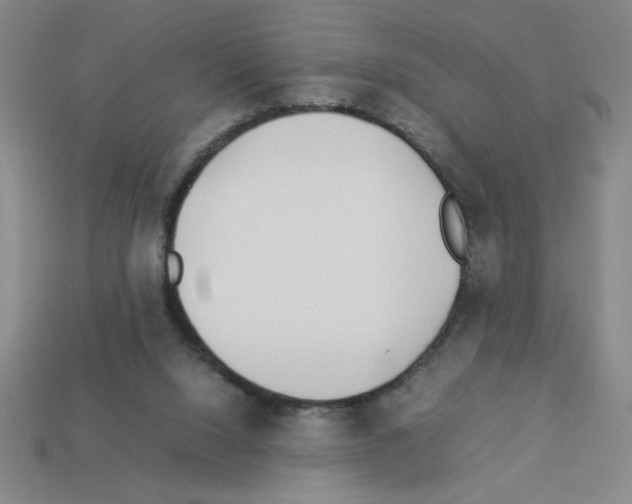 X0000112870064200910021341