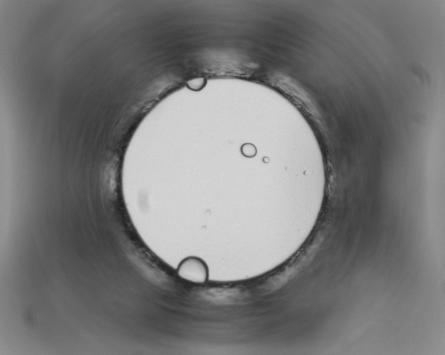 X0000112870065200910021341