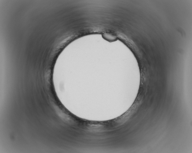 X0000112870066200910021341