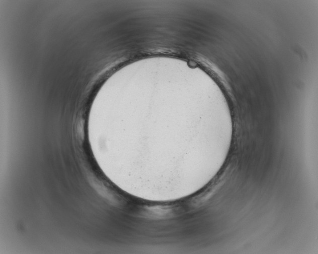 X0000112870067200910021341