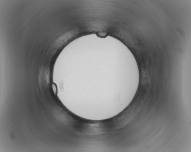 X0000112870068200910021341