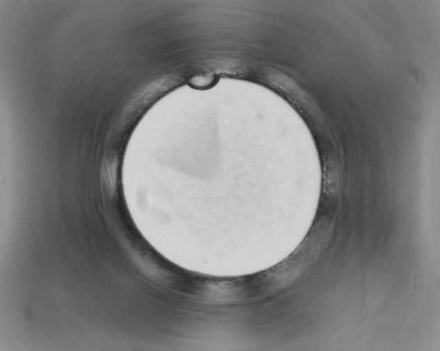 X0000112870070200910021341