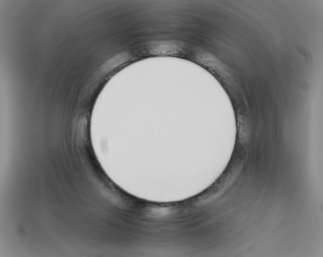 X0000112870071200910021341