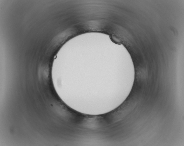 X0000112870072200910021341