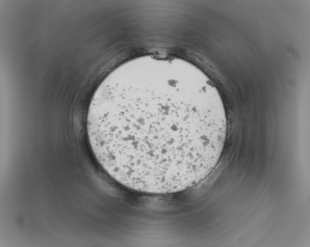 X0000112870074200910021341