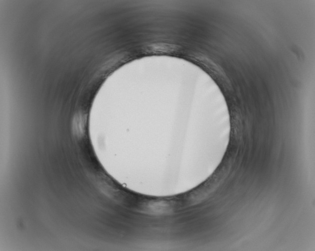 X0000112870075200910021341