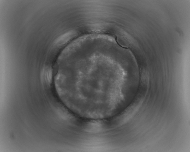 X0000112870076200910021341