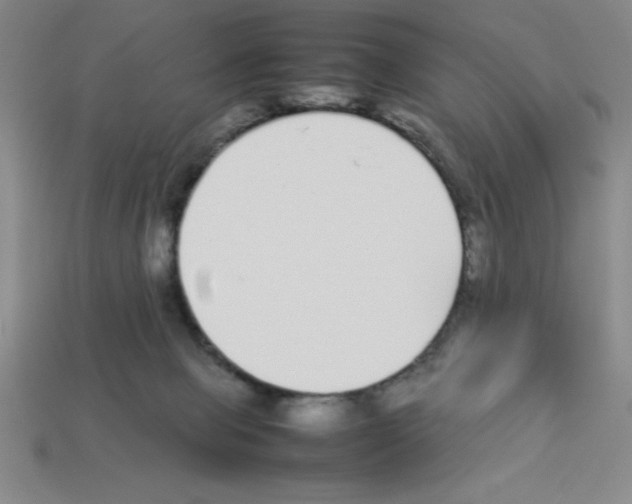 X0000112870077200910021341