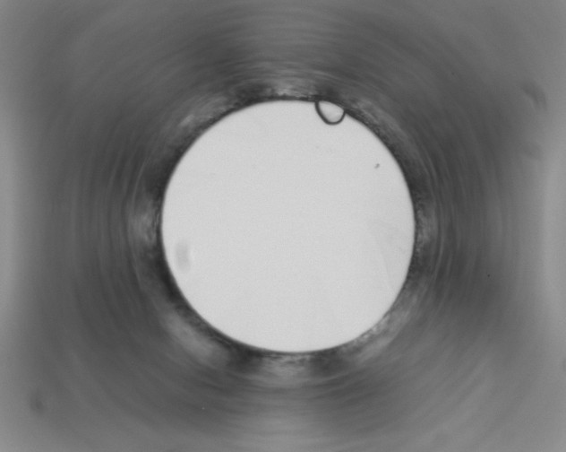 X0000112870078200910021341