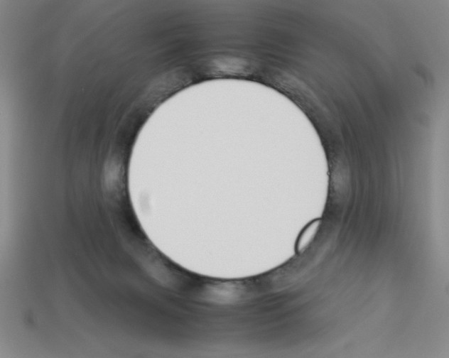 X0000112870079200910021341