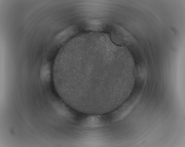 X0000112870080200910021341