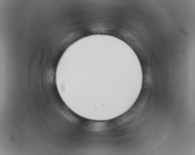 X0000112870081200910021341