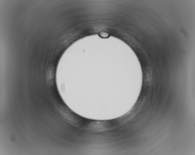 X0000112870082200910021341