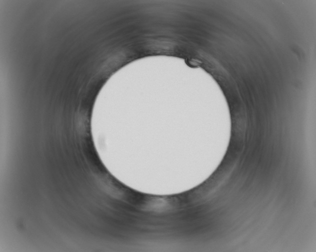 X0000112870083200910021341