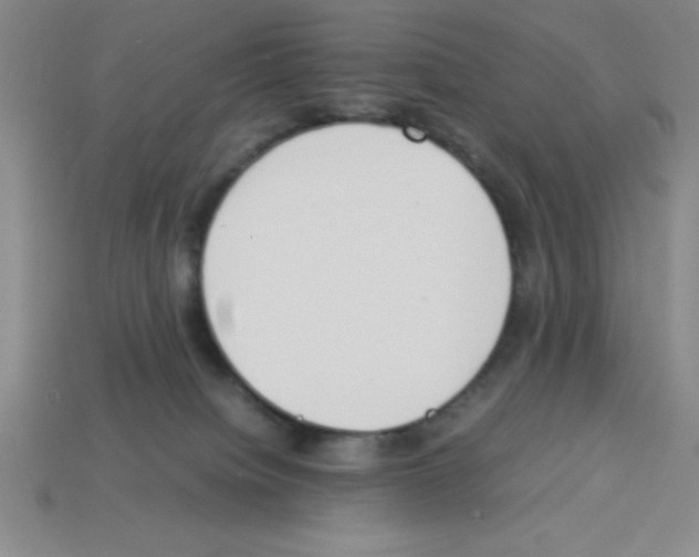 X0000112870084200910021342