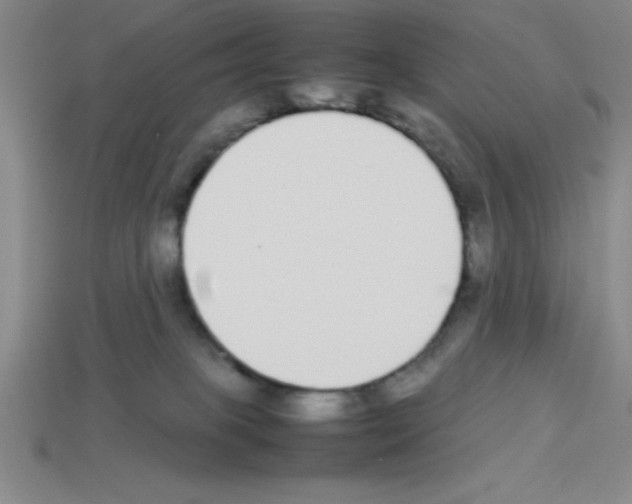 X0000112870085200910021342