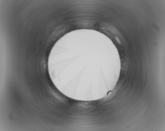 X0000112870086200910021342