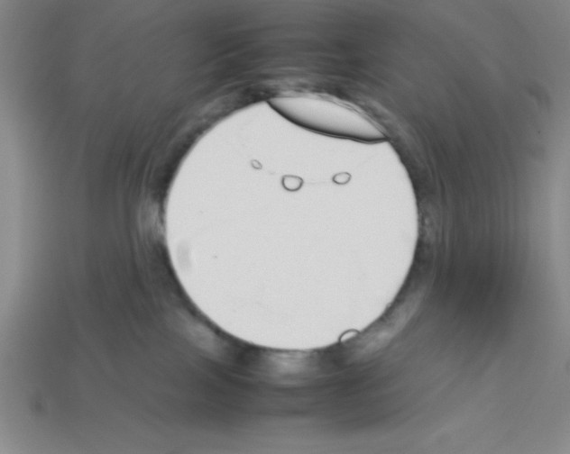 X0000112870089200910021342