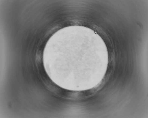 X0000112870090200910021342