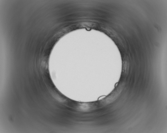 X0000112870091200910021342