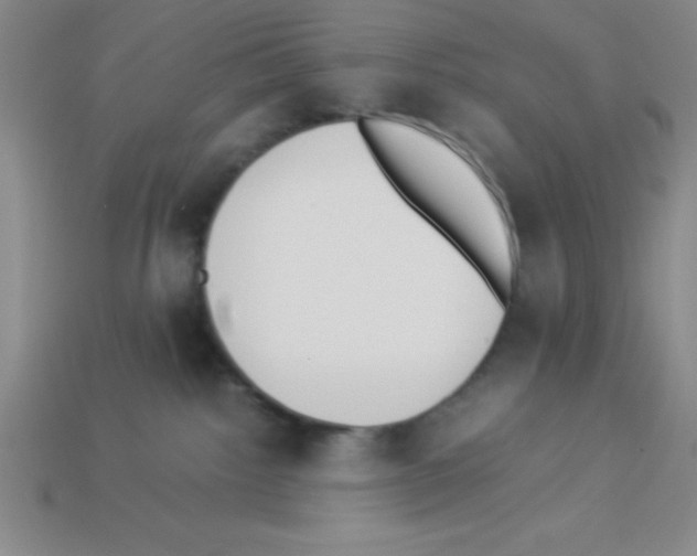 X0000112870092200910021342