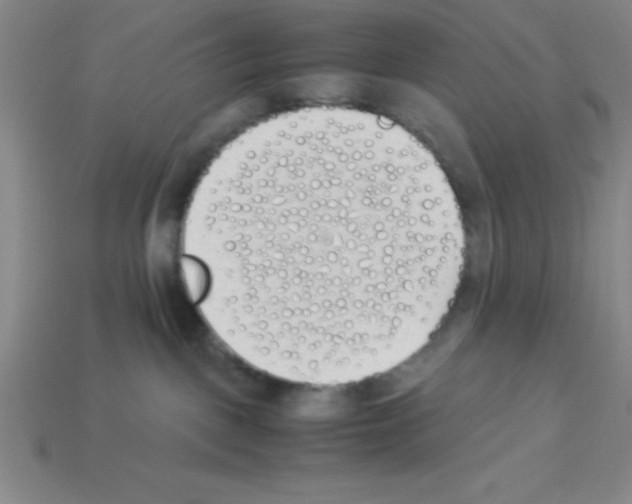 X0000112870093200910021342