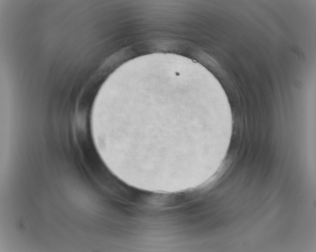 X0000112870094200910021342