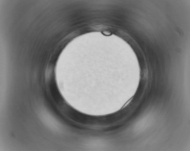 X0000112870095200910021342