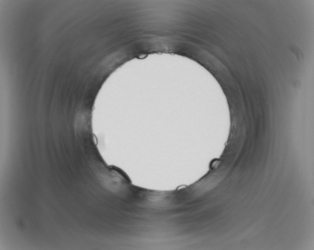 X0000112870096200910021342