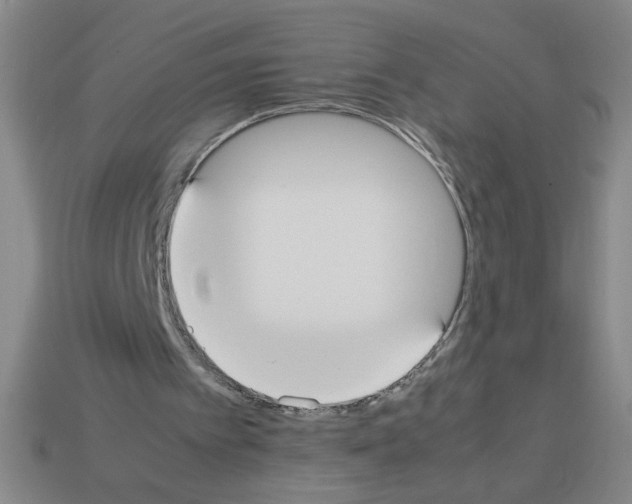 X0000112870097200910021341