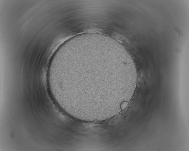 X0000112870098200910021341