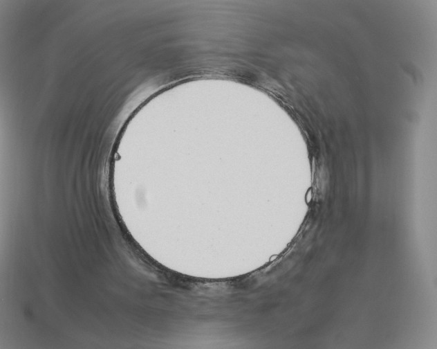 X0000112870099200910021341