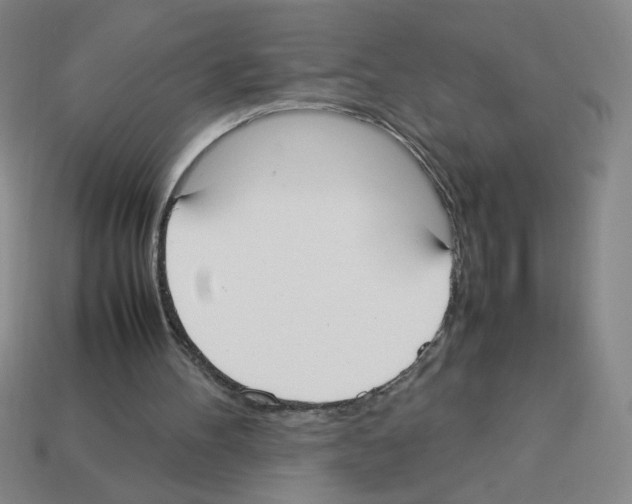 X0000112870100200910021341