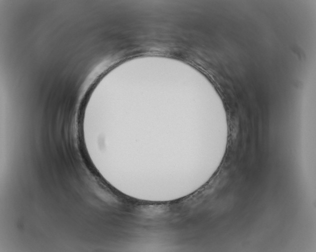 X0000112870102200910021341