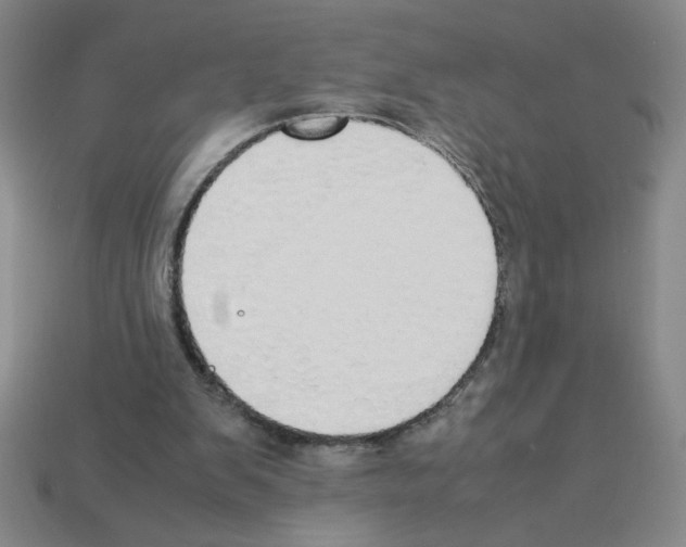 X0000112870103200910021341