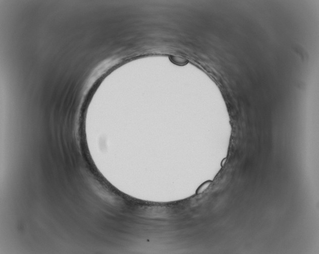 X0000112870104200910021341