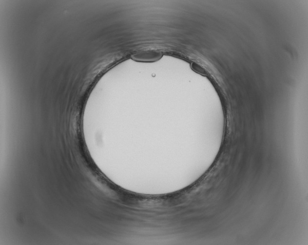 X0000112870105200910021341